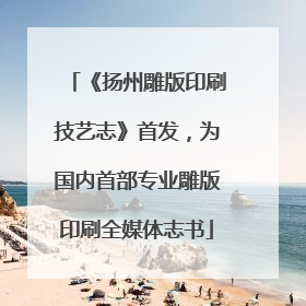 《扬州雕版印刷技艺志》首发，为国内首部专业雕版印刷全媒体志书