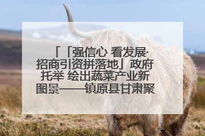 「强信心 看发展·招商引资拼落地」政府托举 绘出蔬菜产业新图景——镇原县甘肃聚广利现代设施蔬菜种植基地见闻