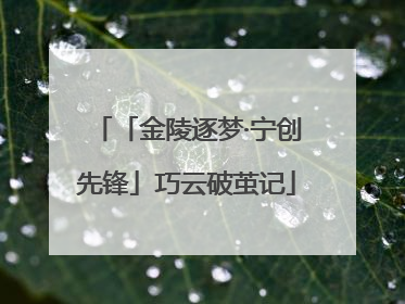 「金陵逐梦·宁创先锋」巧云破茧记