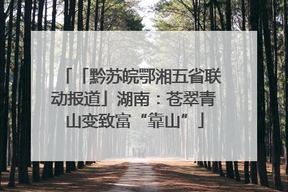 「黔苏皖鄂湘五省联动报道」湖南：苍翠青山变致富“靠山”