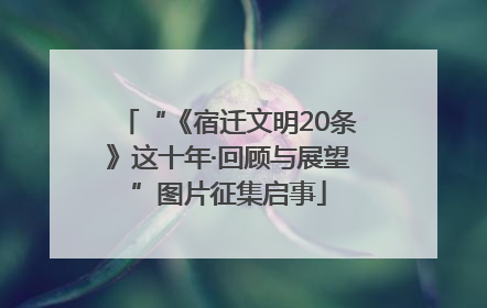 “《宿迁文明20条》这十年·回顾与展望”图片征集启事