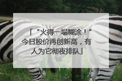 “火得一塌糊涂！”今日股价再创新高，有人为它彻夜排队
