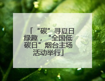 “碳”寻夏日绿趣，“全国低碳日”烟台主场活动举行