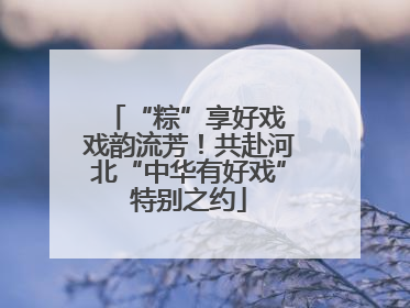 “粽”享好戏 戏韵流芳！共赴河北“中华有好戏”特别之约