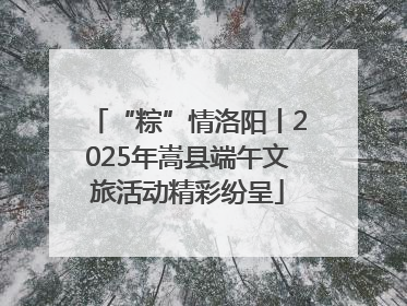 “粽”情洛阳丨2025年嵩县端午文旅活动精彩纷呈