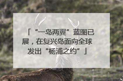 “一岛两翼”蓝图已展，在复兴岛面向全球发出“杨浦之约”