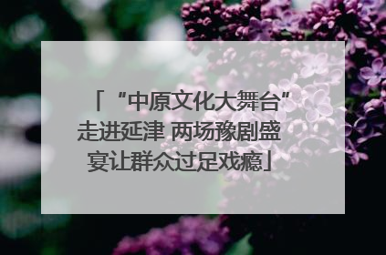 “中原文化大舞台”走进延津 两场豫剧盛宴让群众过足戏瘾