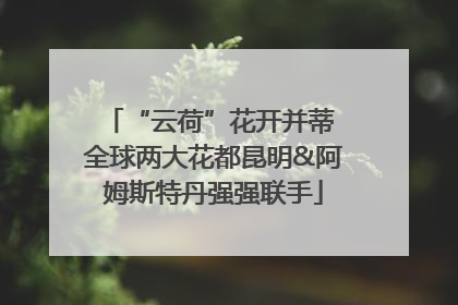 “云荷”花开并蒂 全球两大花都昆明&阿姆斯特丹强强联手