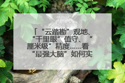 “云踏勘”观地、“千里眼”值守、“厘米级”精度……看“最强大脑”如何实现智慧治理