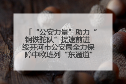 “公安力量”助力“钢铁驼队”提速前进 绥芬河市公安局全力保障中欧班列“东通道”绥芬河隧道贯通