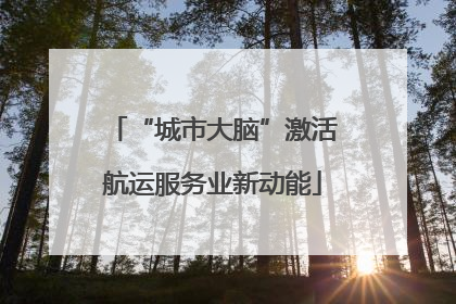 “城市大脑”激活航运服务业新动能