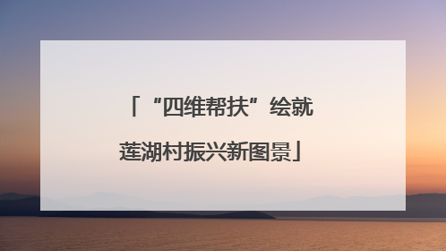 “四维帮扶”绘就莲湖村振兴新图景