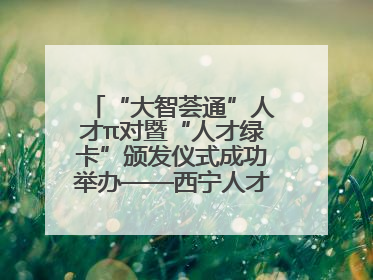 “大智荟通”人才π对暨“人才绿卡”颁发仪式成功举办——西宁人才周大通分会场亮点纷呈