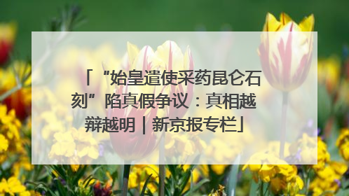 “始皇遣使采药昆仑石刻”陷真假争议：真相越辩越明｜新京报专栏