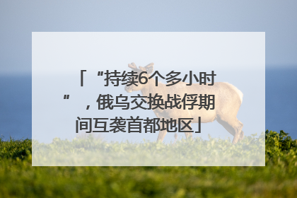 “持续6个多小时”，俄乌交换战俘期间互袭首都地区