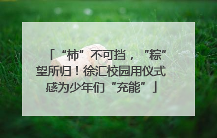 “柿”不可挡，“粽”望所归！徐汇校园用仪式感为少年们“充能”