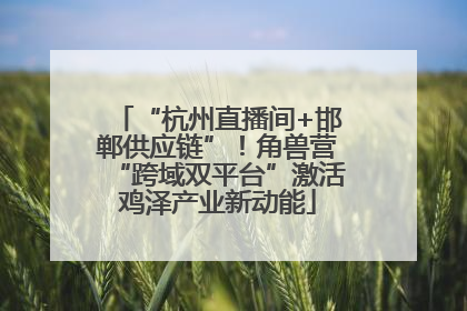 “杭州直播间+邯郸供应链”！角兽营“跨域双平台”激活鸡泽产业新动能