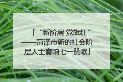 “新阶层 党旗红”——菏泽市新的社会阶层人士奏响七一赞歌