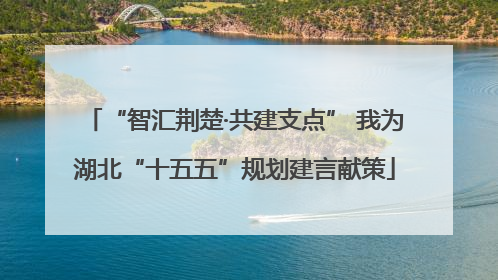 “智汇荆楚·共建支点” 我为湖北“十五五”规划建言献策