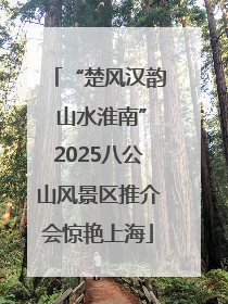 “楚风汉韵 山水淮南”2025八公山风景区推介会惊艳上海