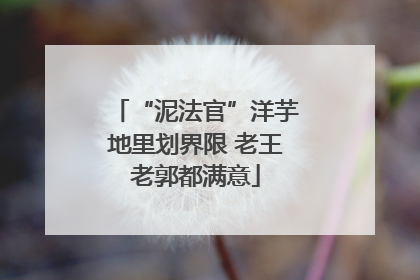 “泥法官”洋芋地里划界限 老王老郭都满意