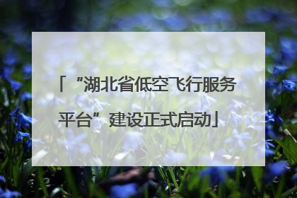 “湖北省低空飞行服务平台”建设正式启动