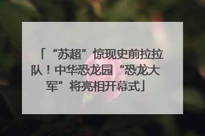 “苏超”惊现史前拉拉队！中华恐龙园“恐龙大军”将亮相开幕式