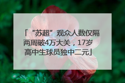“苏超”观众人数仅隔两周破4万大关，17岁高中生球员独中二元