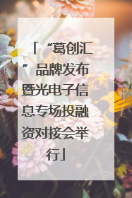 “葛创汇”品牌发布暨光电子信息专场投融资对接会举行