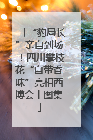 “豹局长”亲自到场！四川攀枝花“自带香味”亮相西博会丨图集