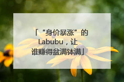“身价暴涨”的Labubu，让谁赚得盆满钵满