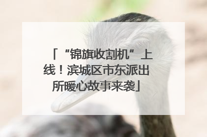 “锦旗收割机”上线！滨城区市东派出所暖心故事来袭