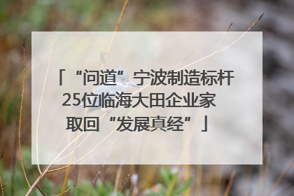 “问道”宁波制造标杆 25位临海大田企业家取回“发展真经”