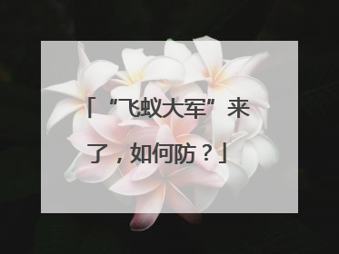 “飞蚁大军”来了，如何防？