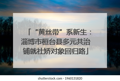 “黄丝带”系新生：淄博市桓台县多元共治铺就社矫对象回归路