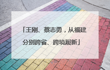 王刚、蔡志勇，从福建分别跨省、跨境履新