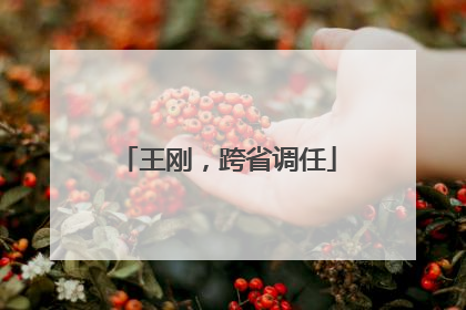 王刚，跨省调任