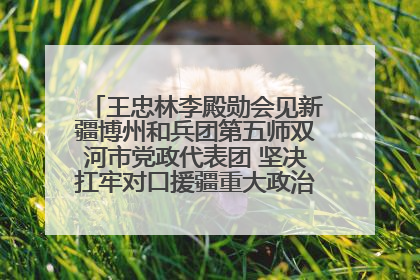 王忠林李殿勋会见新疆博州和兵团第五师双河市党政代表团 坚决扛牢对口援疆重大政治责任 推动双方实现优势互补务实合作