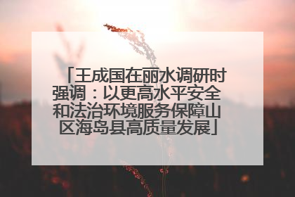 王成国在丽水调研时强调：以更高水平安全和法治环境服务保障山区海岛县高质量发展