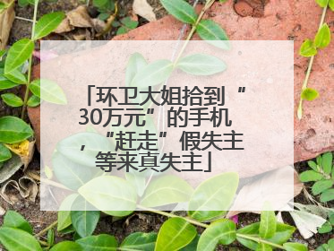环卫大姐拾到“30万元”的手机，“赶走”假失主等来真失主