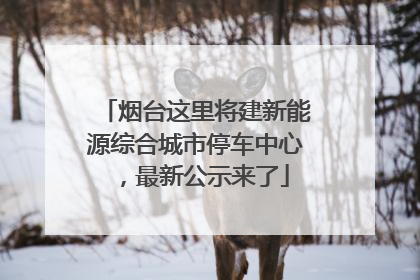 烟台这里将建新能源综合城市停车中心，最新公示来了