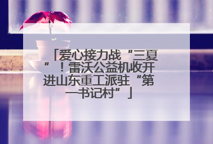 爱心接力战“三夏”！雷沃公益机收开进山东重工派驻“第一书记村”
