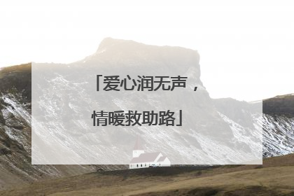 爱心润无声，情暖救助路
