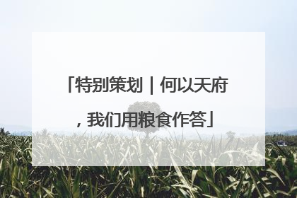 特别策划｜何以天府，我们用粮食作答