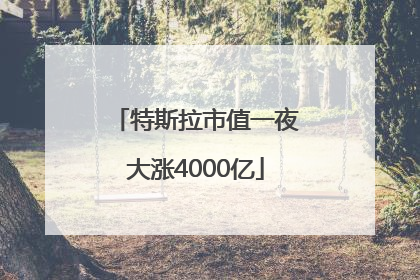 特斯拉市值一夜大涨4000亿