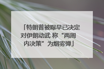 特朗普被曝早已决定对伊朗动武 称“两周内决策”为烟雾弹