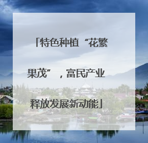 特色种植“花繁果茂”，富民产业释放发展新动能