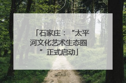 石家庄：“太平河文化艺术生态圈”正式启动