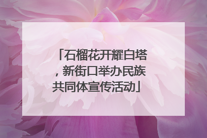 石榴花开耀白塔，新街口举办民族共同体宣传活动