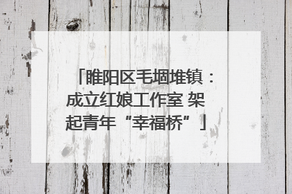 睢阳区毛堌堆镇：成立红娘工作室 架起青年“幸福桥”